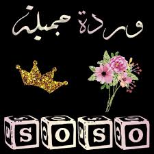 بوستات باسم وردة4
