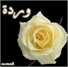 بوستات باسم وردة5