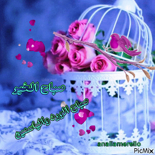 صباح الورد والياسمين gif 1