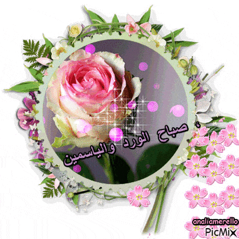 صباح الورد والياسمين gif 3