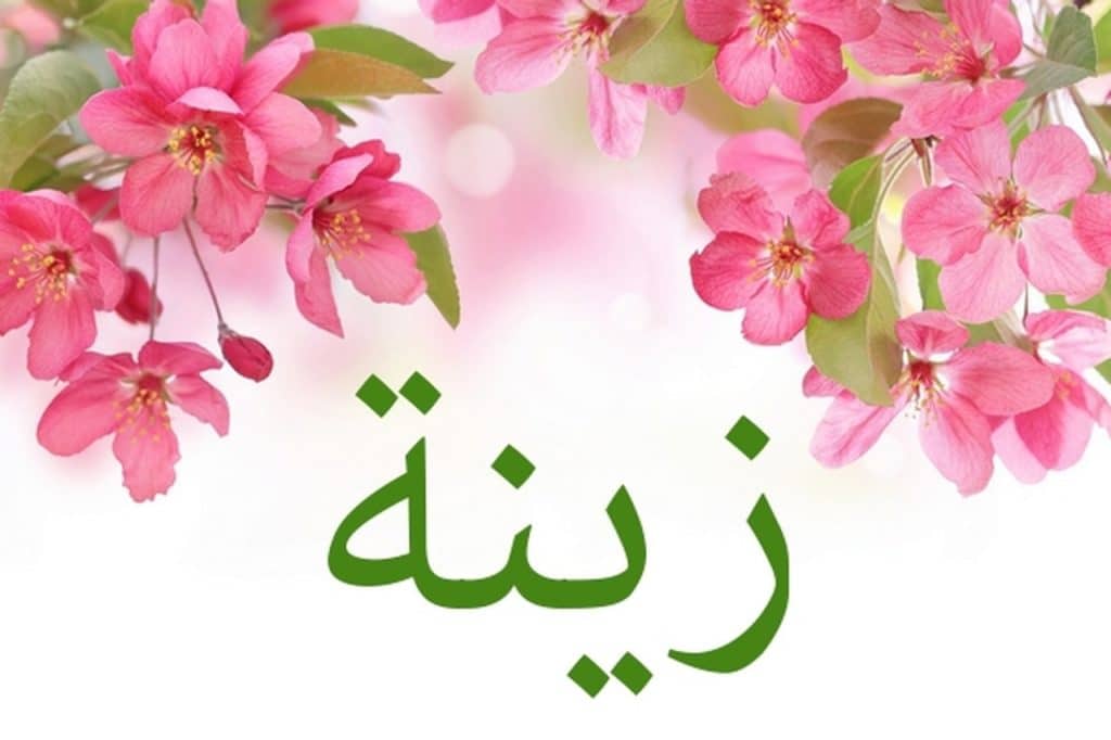 اجمل الصور عن اسم زينة1