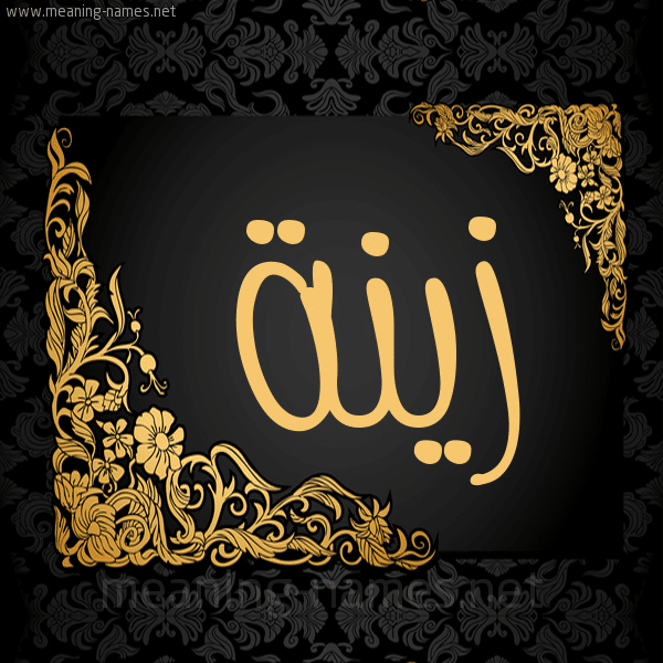 اجمل الصور عن اسم زينة3