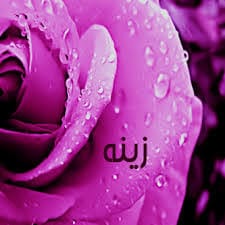 دلع اسم زينة