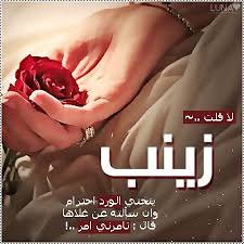 خلفيات باسم زينب2