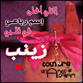 خلفيات باسم زينب3