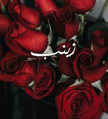 خلفيات باسم زينب4