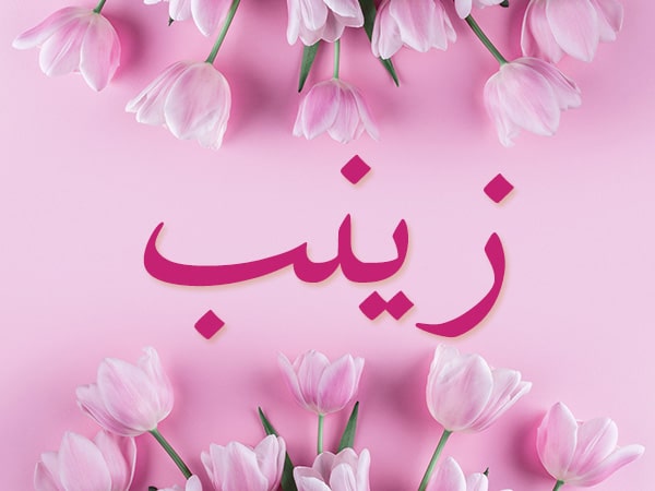 خلفيات باسم زينب5
