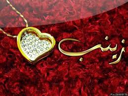 قصيدة عن زينب مكتوبة