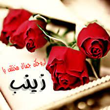 رسائل حب باسم زينب