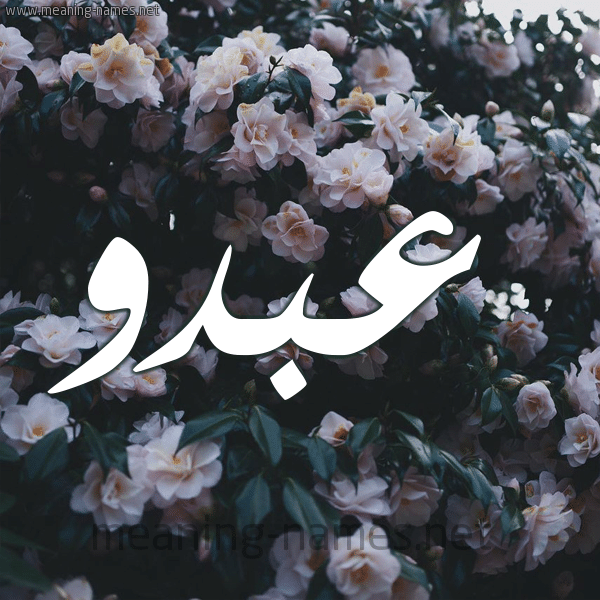 اجمل الصور عن اسم عبدو1