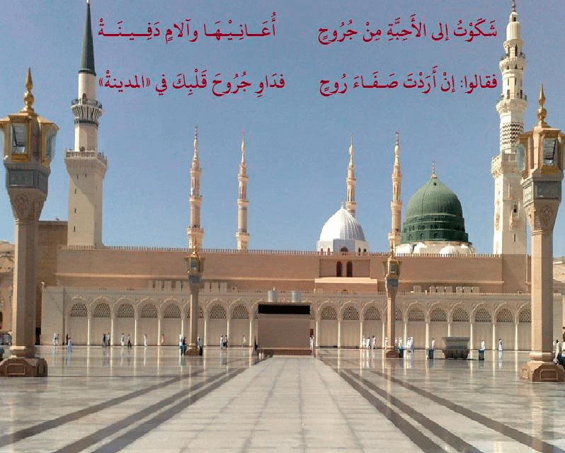 كلام جميل عن المدينة المنورة تويتر 2