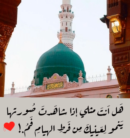 كلام جميل عن المدينة المنورة تويتر 3