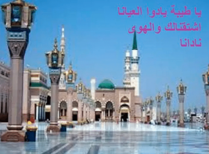 كلام جميل عن المدينة المنورة تويتر 4