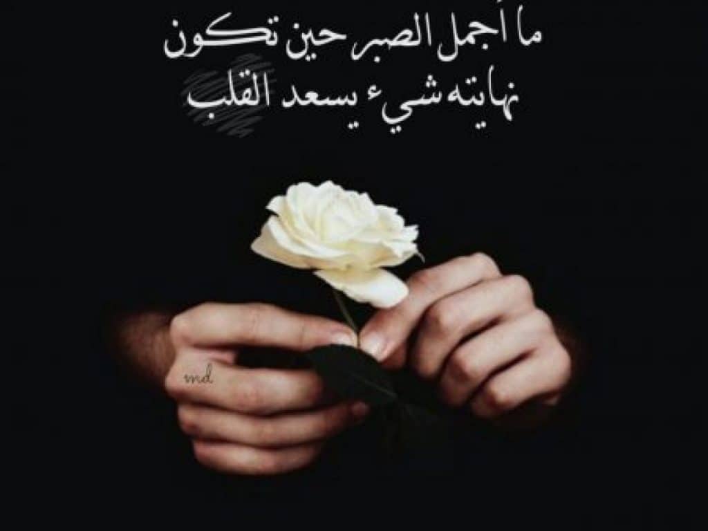 اجمل حالات واتس اب4