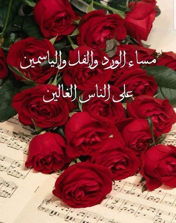 بوست مساء الخير للاصدقاء3