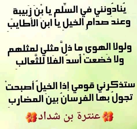 وصف الخيل عند عنترة
