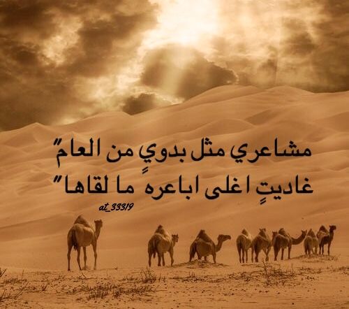 عبارات عن الهجن