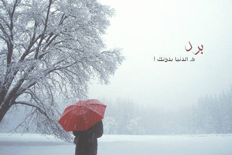 عبارات عن الثلج والحب