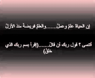 شعر عن العلم