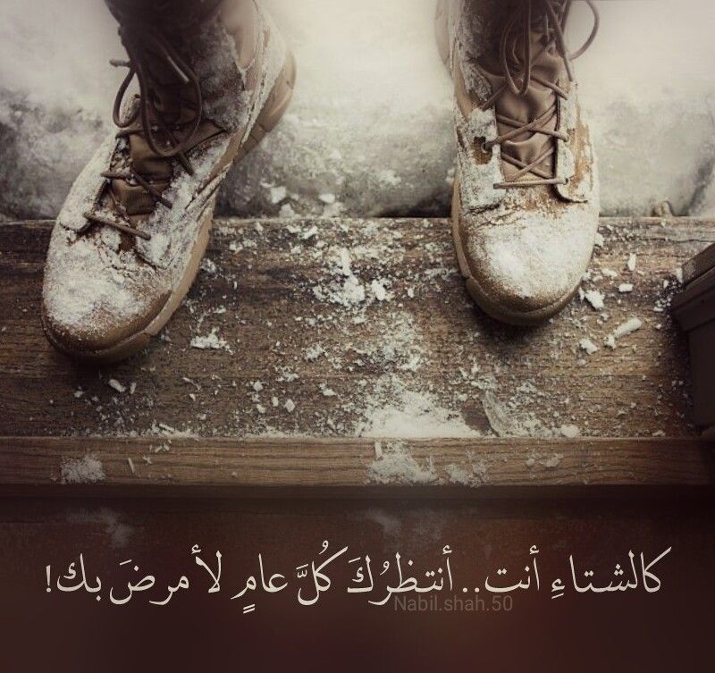 قصيدة حب في الشتاء