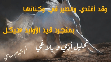 شرح قصيدة وقد أغتدي والطير في وُكُناتِها
