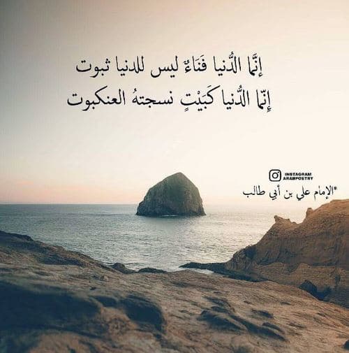 شعر الامام علي عن الدنيا