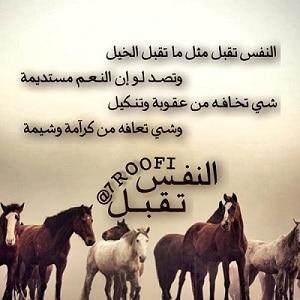 شعر وصف الجواد