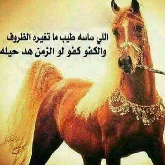 قصيدة امرؤ القيس في وصف الخيل