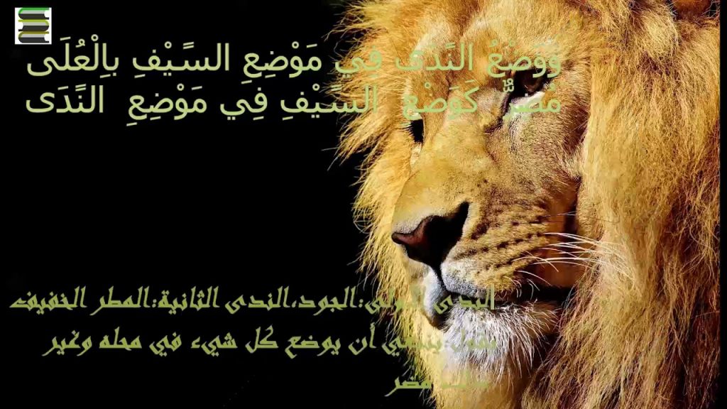 الأسد في الشعر الجاهلي