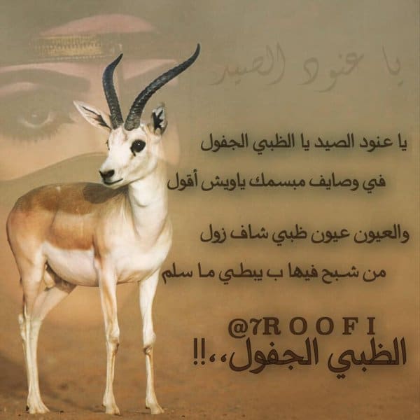 قصيدة الظبي الجفول