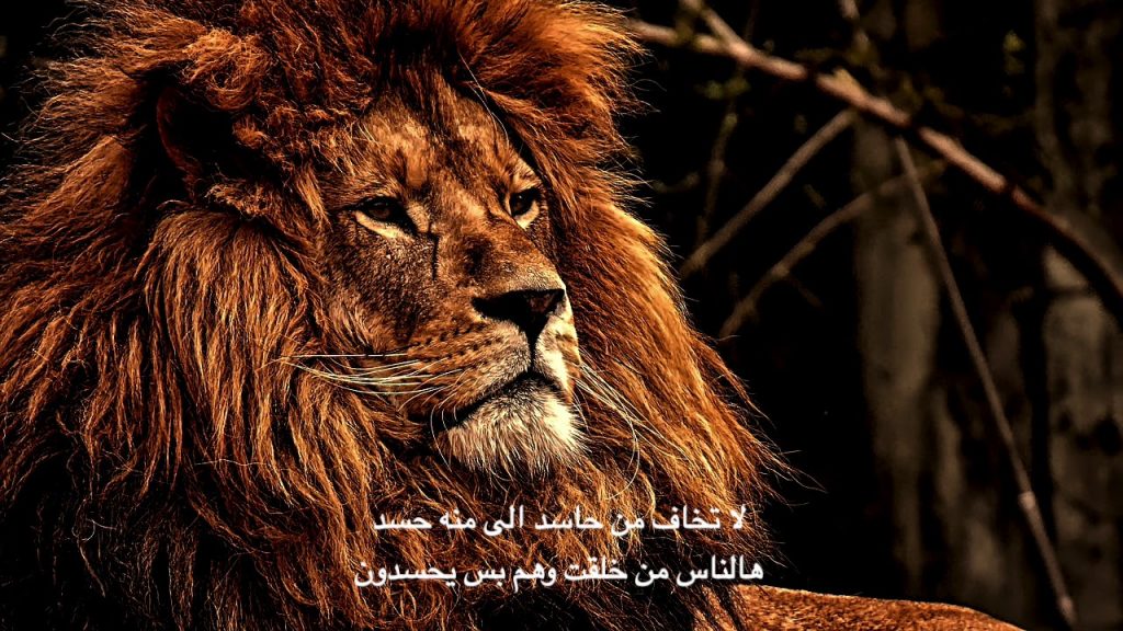 قصيدة زئير الأسد
