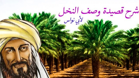شرح البيت الأول من قصيدة وصف النخل 