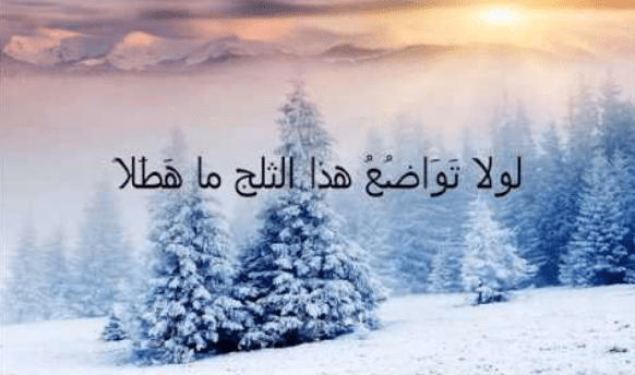 أجمل قصيدة عن الثلج