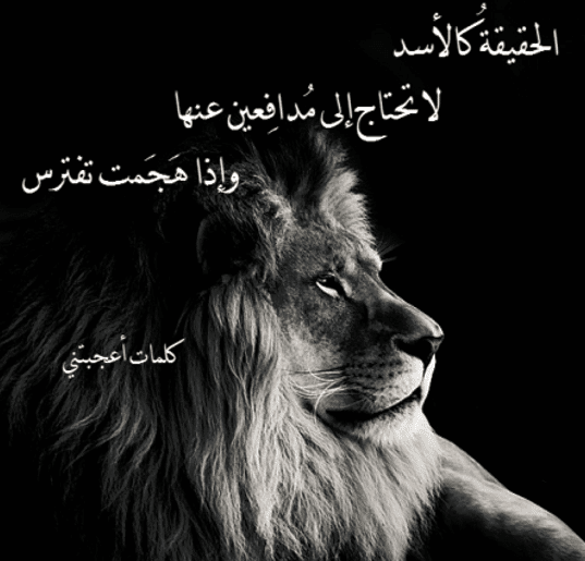 شعر وصف الاسد