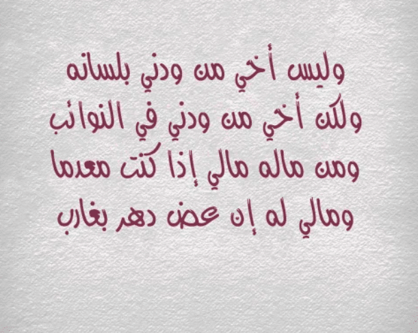 ابيات شعر عن الصداقة والاخوة