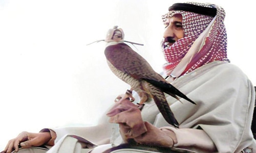 قصيدة شايل الصقر