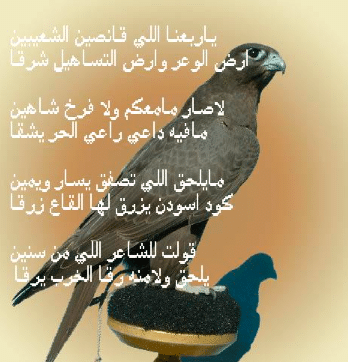 شعر عراقي عن الصقر