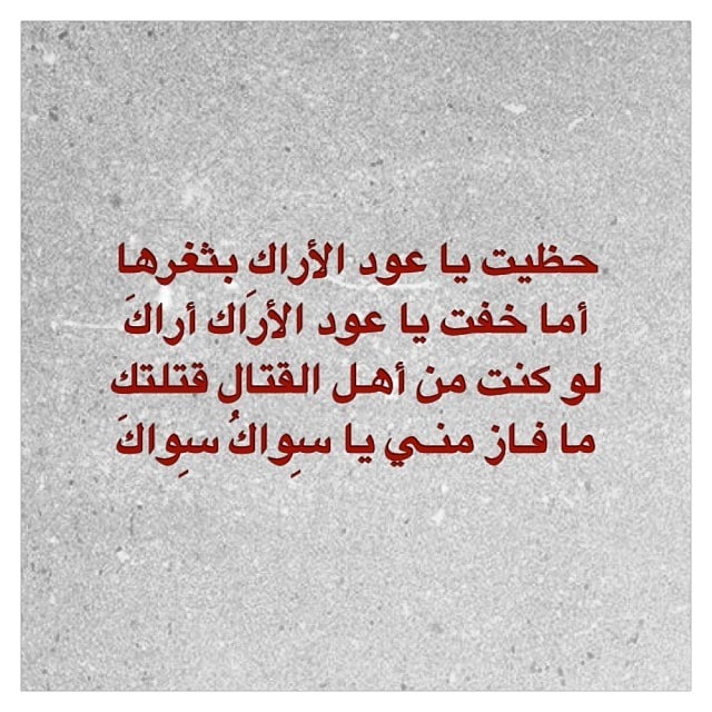 قصيدة حظيت ياعود الأراك بثغرها كاملة