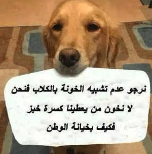 شعر فصيح عن الكلاب