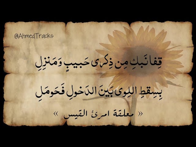 فعن لنا سرب كأن نعاجه شرح