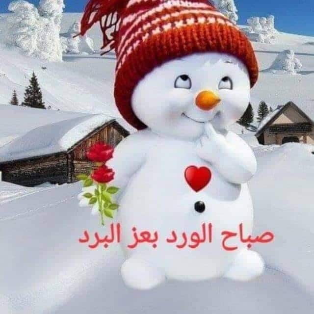 صباح الثلج الجميل