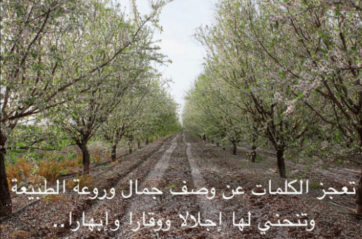 شعر عن جمال الكون