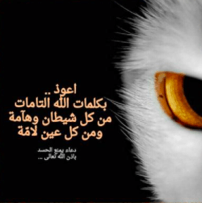 دعاء حسد الأقارب