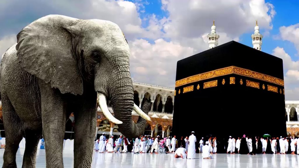 عدد سورة الفيل
