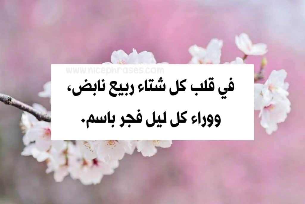 شعر عن الربيع تويتر 5