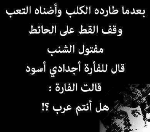 مقولات عن الكلاب