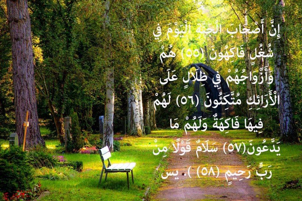 اروع ما قيل عن الجنة