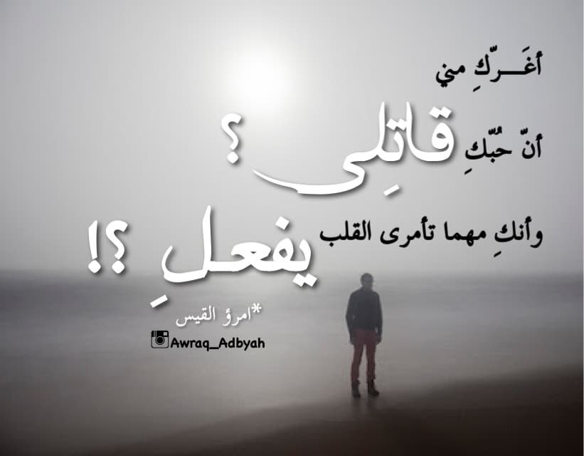 قيل الخيول تلد في اصحاب الخيول