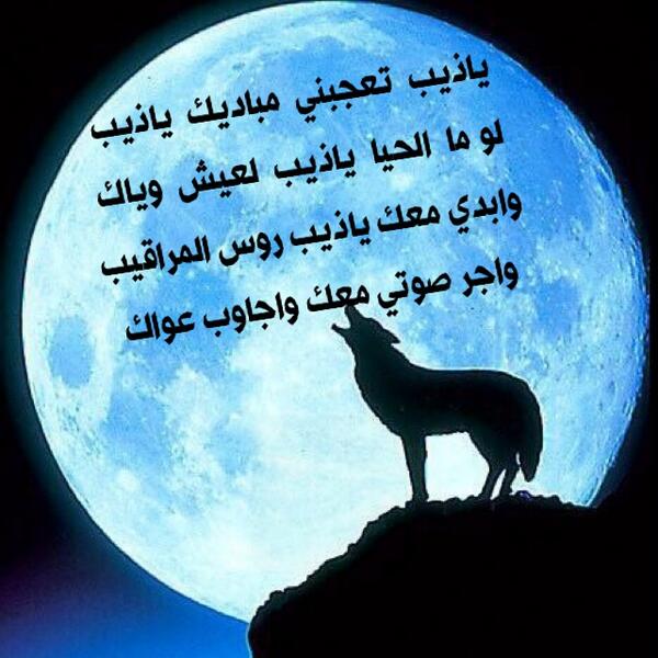 قصيدة الذيب كتابة - شعر وصف الذيب