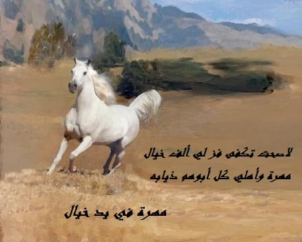 شعر بدوي عن الخيل الاصيل